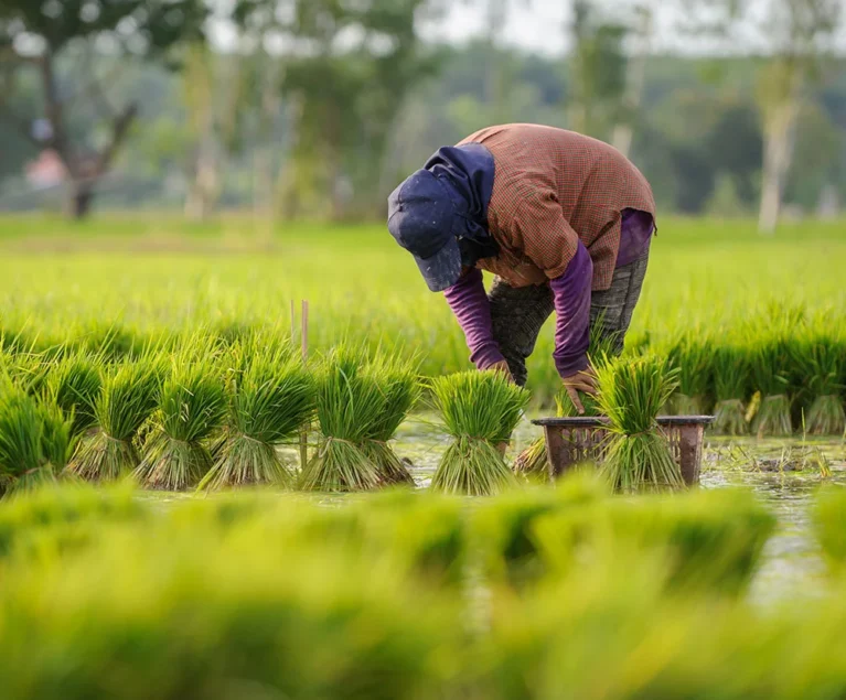 Accelerate innovation with world-class tech teams We’ll match you